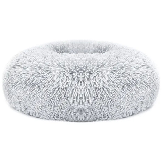 How to Choose the Right Dog Bed Size