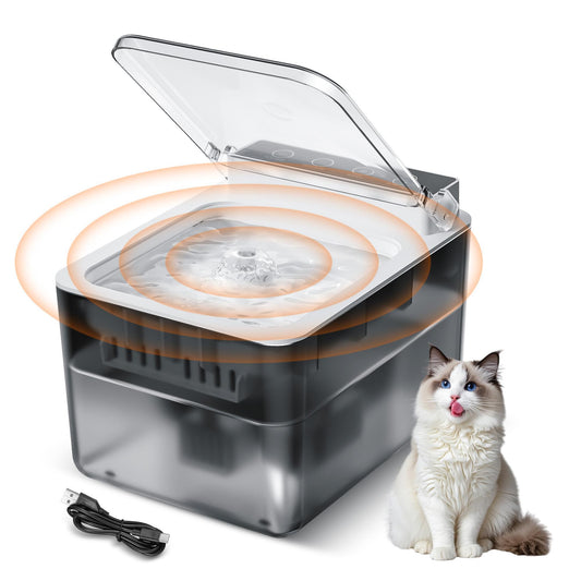 Choosing a Water Fountain for Your Cat
