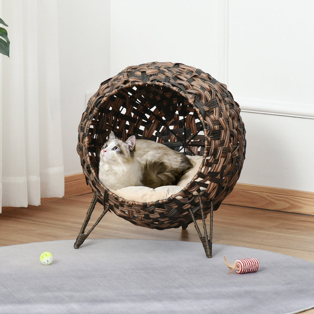 Why Cats Love Cozy, Enclosed Beds