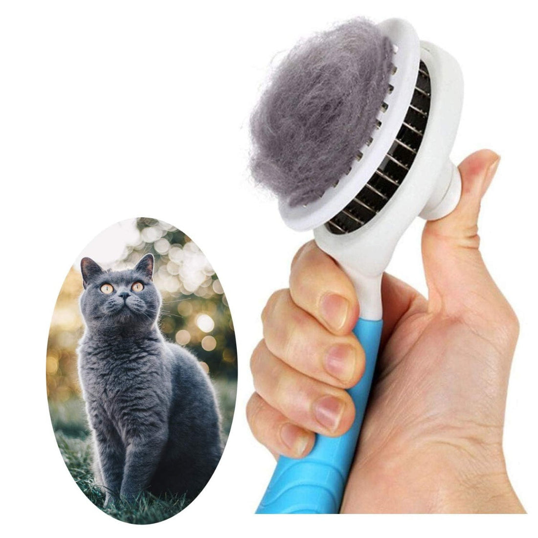 Surviving Shedding Season: Practical Tips