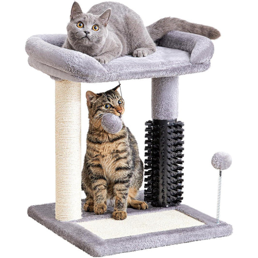 An Easy At-Home Brushing Routine for Dogs and Cats