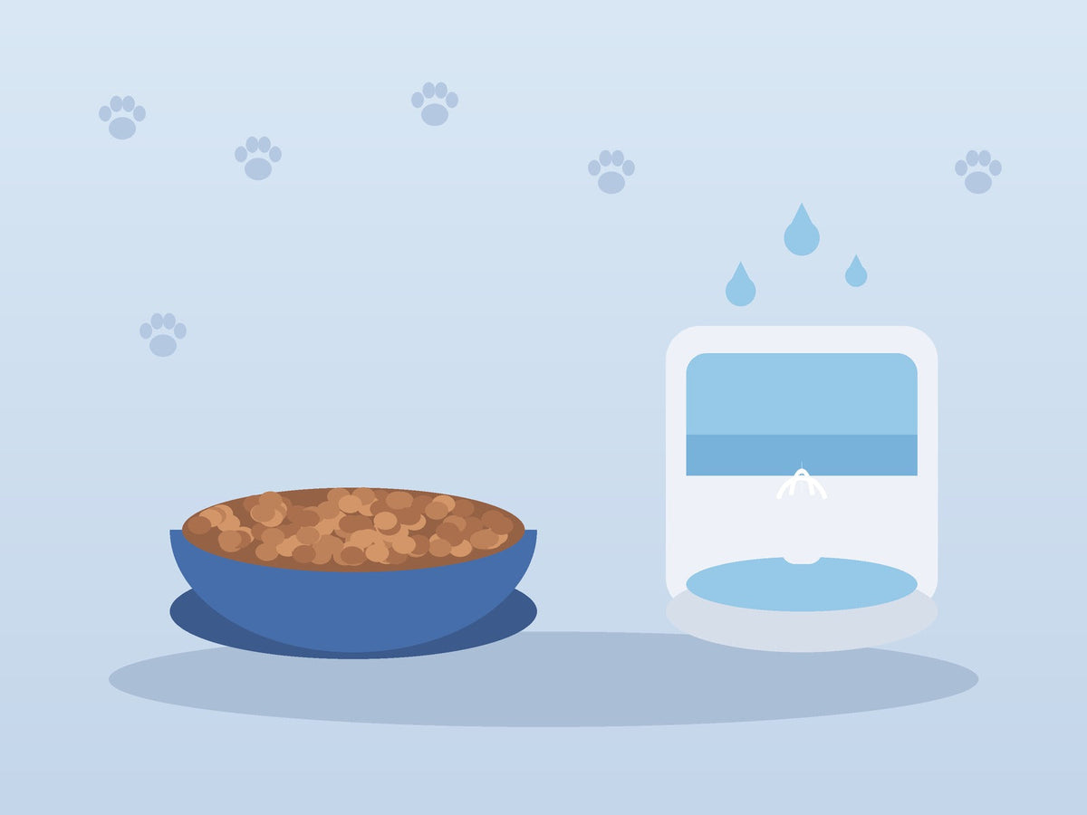 Feeding & Water
