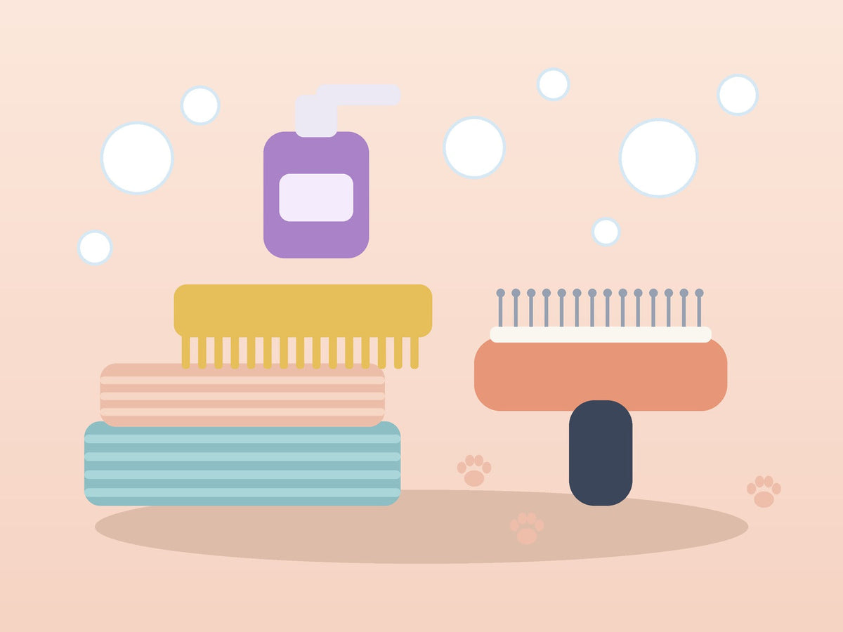 Grooming & Care
