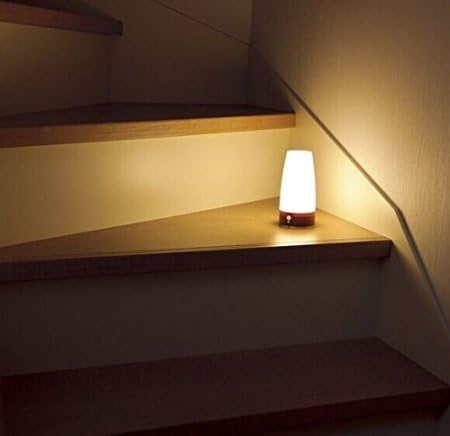 ZEEFO Retro LED Night Light PIR Motion Sensor Light,Activated Step Lighting Lamps,Indoor/Outdoor Battery Operated Lamp Sensitive Portable Moving Table Lamp for Kids Room,Hallway(Round Shape)