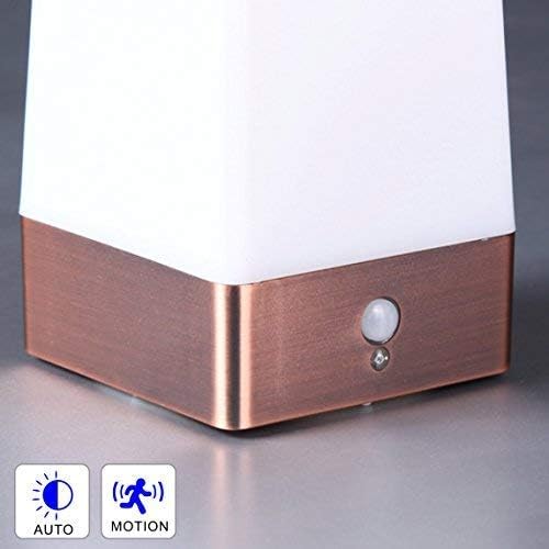 WRalwaysLX 2Pack Bedside Lamp PIR Motion Sensor LED Night Light,3 Modes Battery Powered Small Table Lamp,USE 3x1.5VAAA Battery,Sensitive Portable Moving Lamp