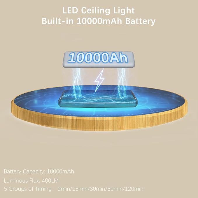 Battery Operated LED Celling Lights Fixture with Auto Motion Sensor, Smart Body Sensor Ceiling-Mounted Lamps with 3 Colors/Brightness, Motion Detection Magnetic Celling Lights for Closet Shower-Wood
