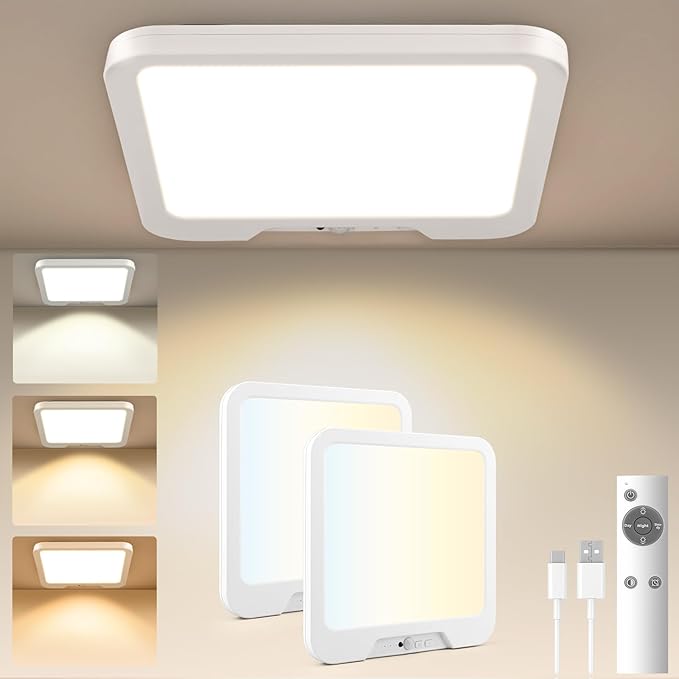 Amzpas Rechargeable Motion Sensor Ceiling Light with Remote, Magnetic Wireless Ceiling Light Battery Operated for Closet Shower Stairs Hallway Porch Pantry Garage Patio Shed (2 Pack)
