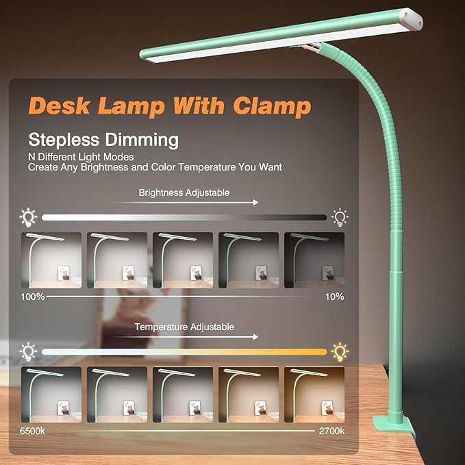 Airlonv LED Desk Lamp for Office Home, Eye-Caring Desk Light with Stepless Dimming Adjustable Flexible Gooseneck, 10W USB Adapter Desk Lamp with Clamp for Reading, Study, Workbench (Mint Green)