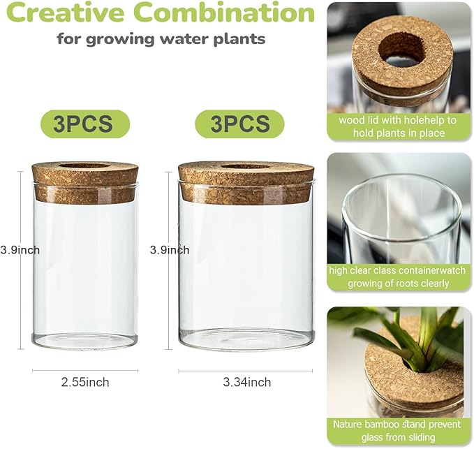 Glass Plant Propagation Station Set – Water Planting Glass Vase for Herb Cuttings,Succulent Water Rooting–Desktop Planter Jars for Home,Office,Living Room,Bedroom Decor(6PCS)
