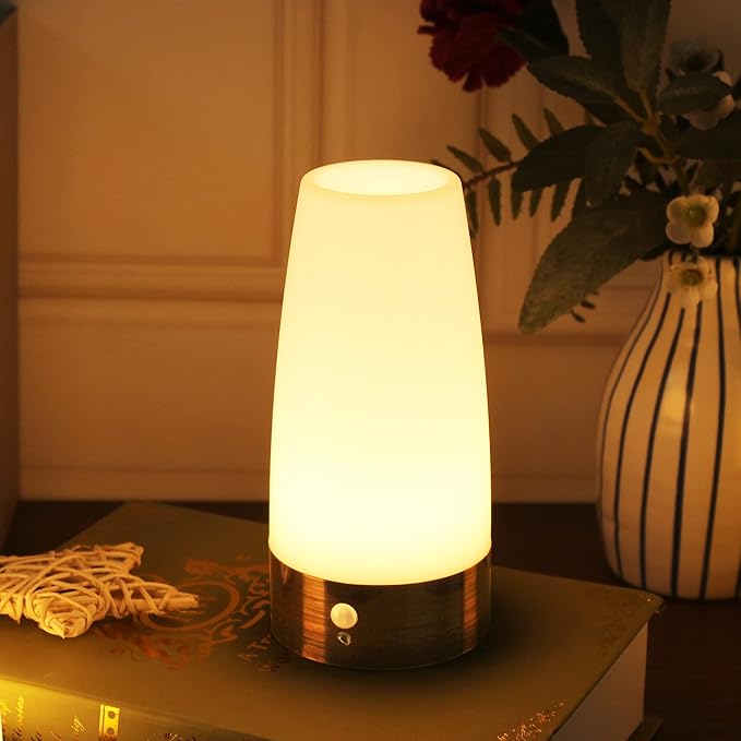 WRalwaysLX Retro LED Night Light for Home,Small Lamp with Wireless PIR LED Motion Sensor Indoor/Outdoor,Battery Operated Lamp for Bedroom,Hallway,Kitchen