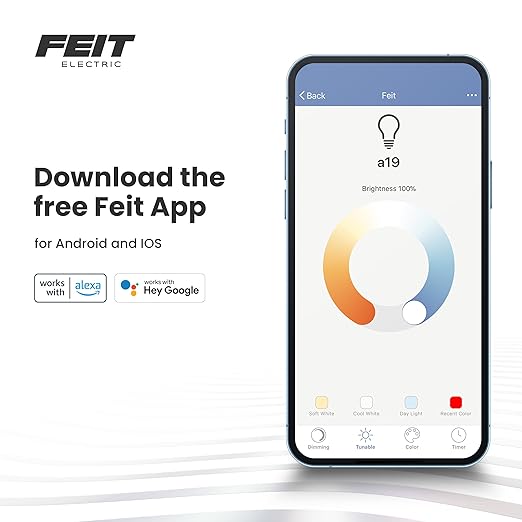 Feit Electric Smart Wi-Fi Plug, Works with Alexa and Google Home, No hub Required, 2.4 Ghz Network Only, Remote Control from Anywhere 15 Amp, Indoor Outlet for Home Appliances