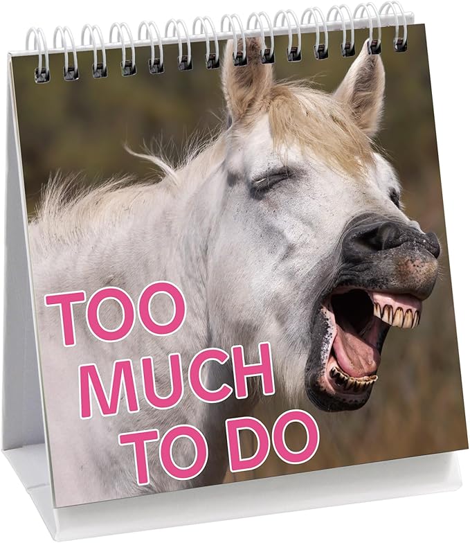 Fancy Land Funny Animal Desk Signs - 30 Flip-Over Messages - Office Desk Accessories - Plastic - 5 Inches x 5.7 Inches