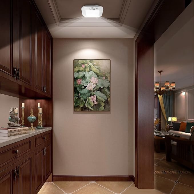 Motion Sensor Ceiling Light Battery Operated, 180LM 6000K Battery Closet Lights Motion Sensor, 48LED Wireless Ceiling Light Motion Activated for Pantry Cabinets Shed, Cool White,2-Pack