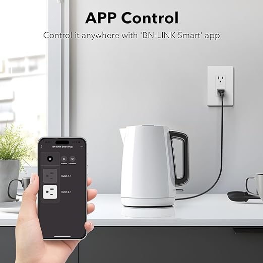 Smart WiFi in-Wall Outlet Switch 2 Individually Outlets Works with Timer Function Compatible with Alexa and Google Assistant BN-LINK
