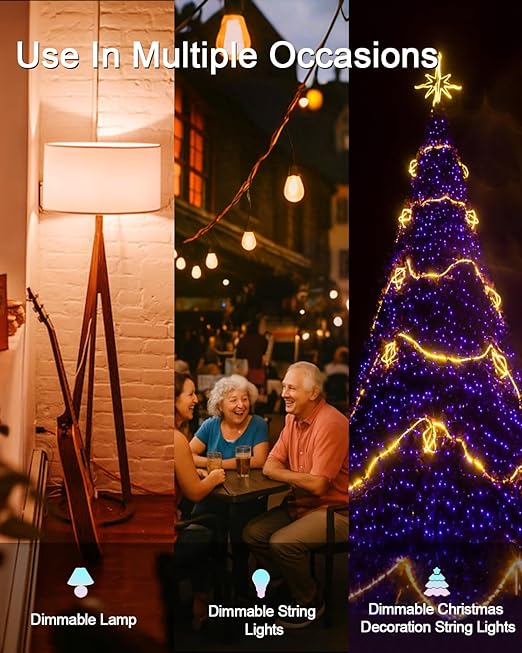 Outdoor Dimmer Plug for String Lights with Remote, 600W Plug-in Dimmer Switch Dusk-to-Dawn Sensor + Timer, Power Outage Memory, IP65 Waterproof, No App No WiFi, for Patio, Indoor & Holiday Lights