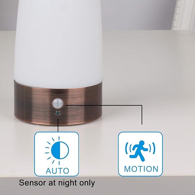 WRalwaysLX Retro LED Night Light for Home,Small Lamp with Wireless PIR LED Motion Sensor Indoor/Outdoor,Battery Operated Lamp for Bedroom,Hallway,Kitchen