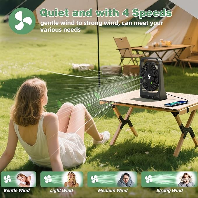 20800mAh Rechargeable Fan, 8-Inch Battery Powered Fan - Up to 80H Runtime, Portable Fan with 4 Speeds/Timers/70° Rotation /Quiet, Desk Fan for Bedroom, Office, Travel, Cruise, Gifts for Men Women