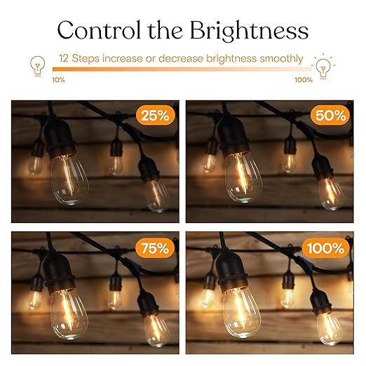 Brightech Smart Dimmer Plug for LED Outdoor String Lights, Comes with Remote Control, Works Up to Max Power 150W, Waterproof Commercial Grade Dimmer for Dimmable String Lights